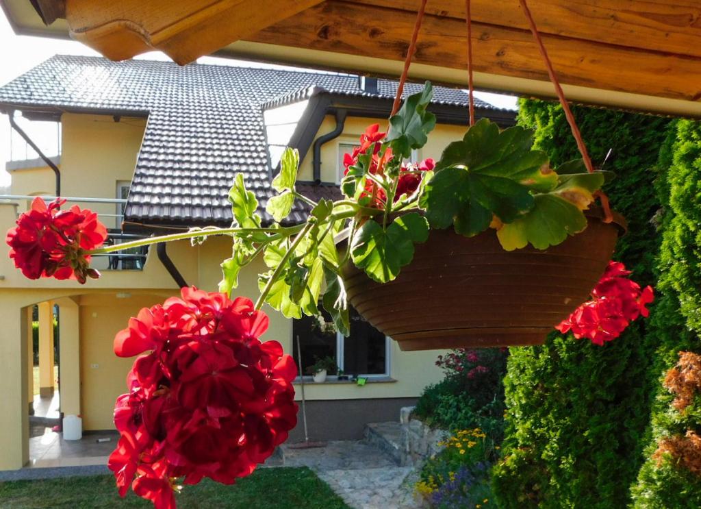Apartman Lara u Otočcu — Balkon i pogled